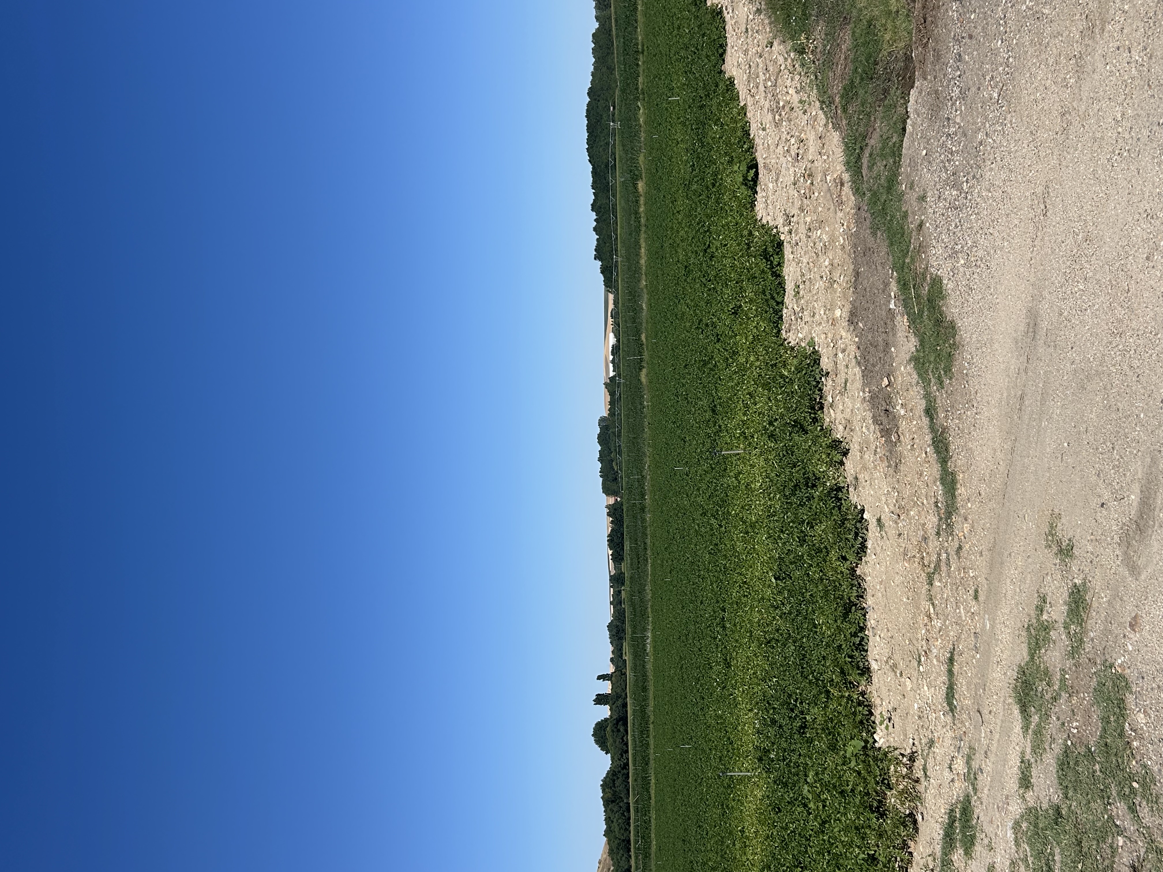 IMG_2944.jpeg
